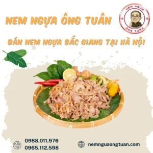 ban nem ngua bac giang tai ha noi