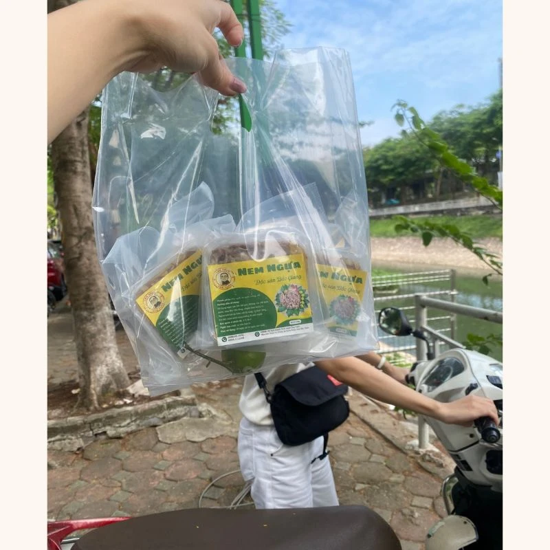 nem ngua ha noi