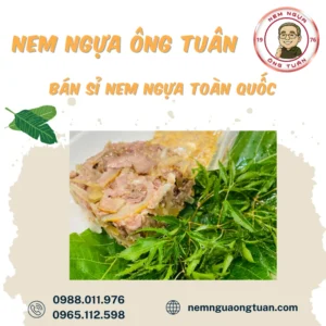 ban si nem ngua toan quoc